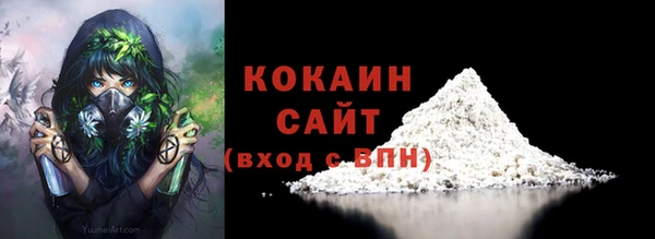 шишки Абинск